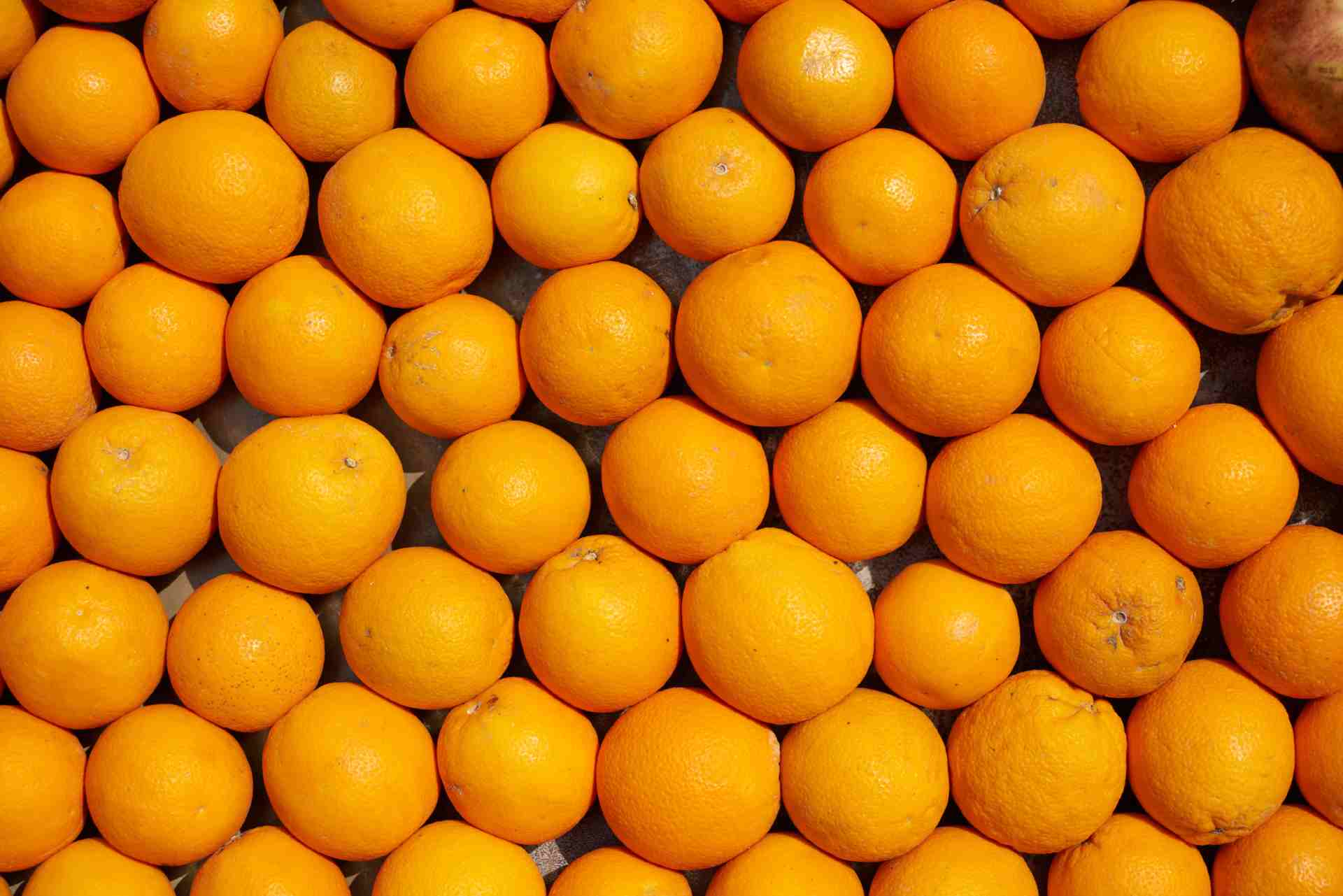 empresas de citricos en valencia